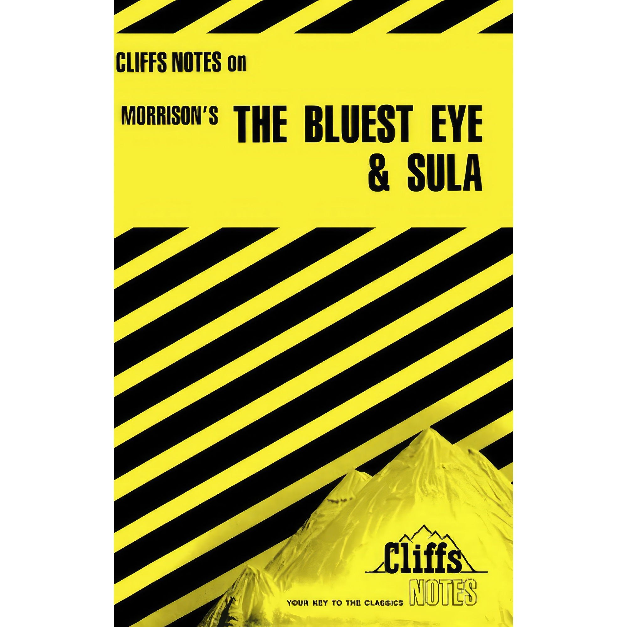 کتاب زبان اصلی The Bluest Eye and Sula اثر Louisa S Nye and Rosetta James
