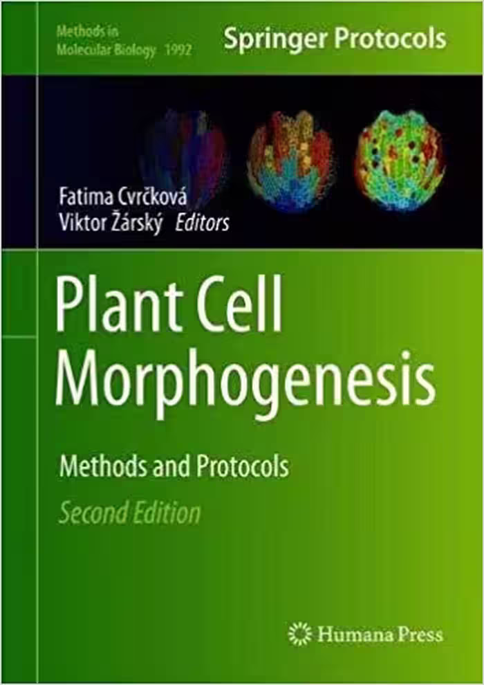 󾕇 دانلود کتاب Plant Cell Morphogenesis - Methods And Protocols, 2nd ed, 2019 - دانلود کتاب های دانشگاهی