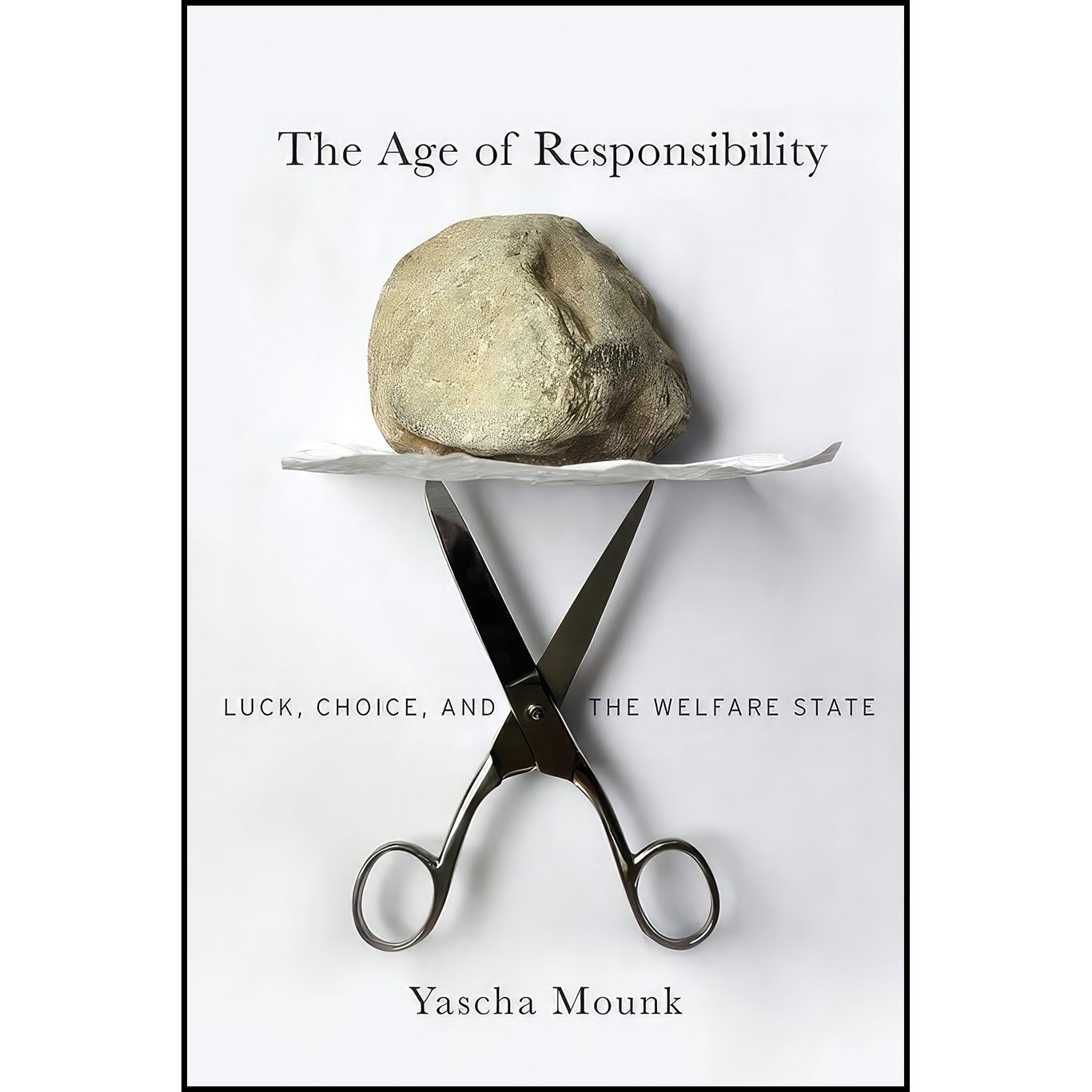 کتاب زبان اصلی The Age of Responsibility اثر Yascha Mounk