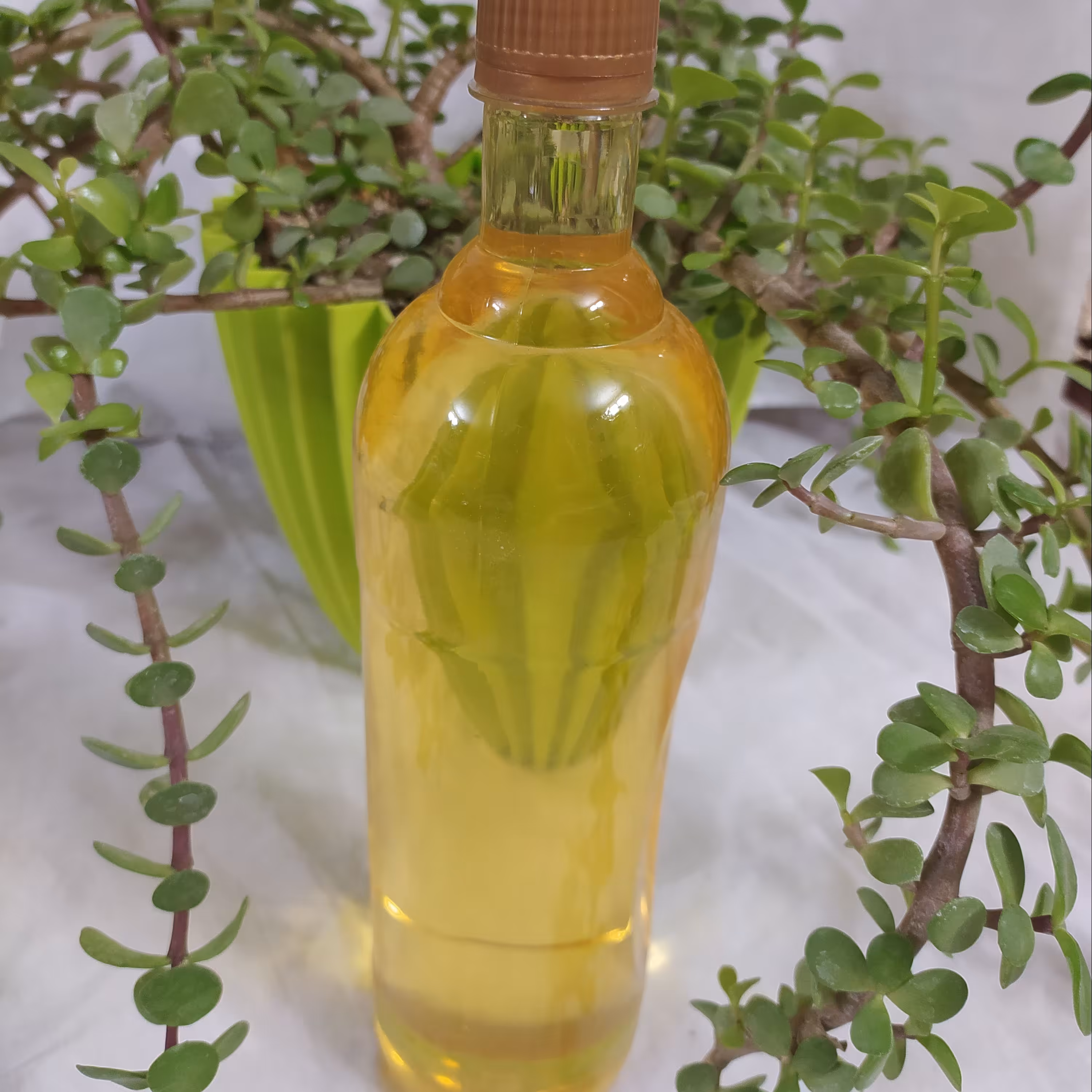 روغن زیتون 1 لیتری بدون بو فروشگاه مهنا اصفهان. فروش عمده ای در بو که های 20 لیتری