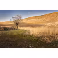 تابلو شاسی کد benpics-0131 (ابعاد 70x50 - شاسی 8 میل-کاغذ سیلک-اصالت تصویر)