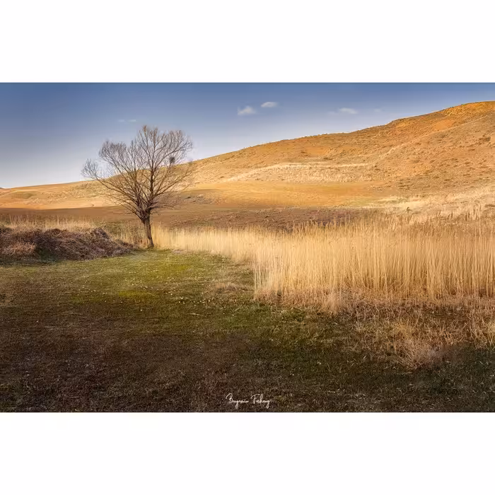 تابلو شاسی کد benpics-0131 (ابعاد 70x50 - شاسی 8 میل-کاغذ سیلک-اصالت تصویر)