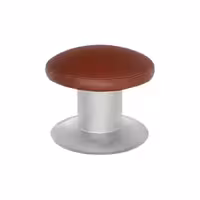 قارچ ژیمناستیک پایه قیفی