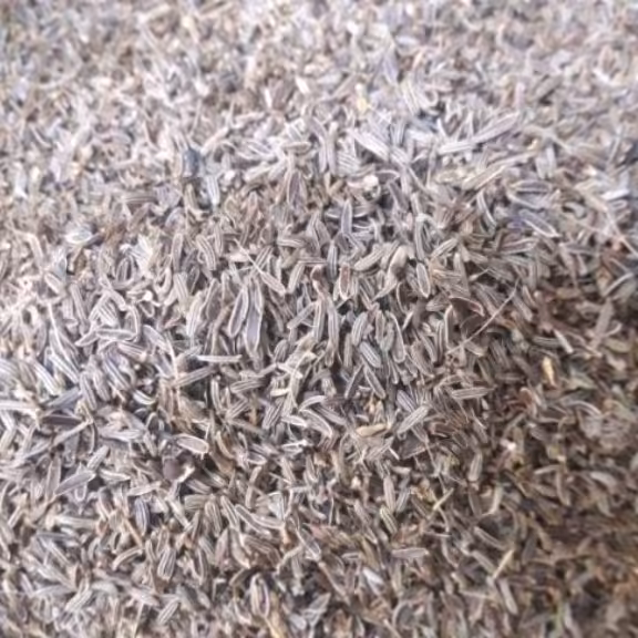 زیره سیاه 100 گرمی