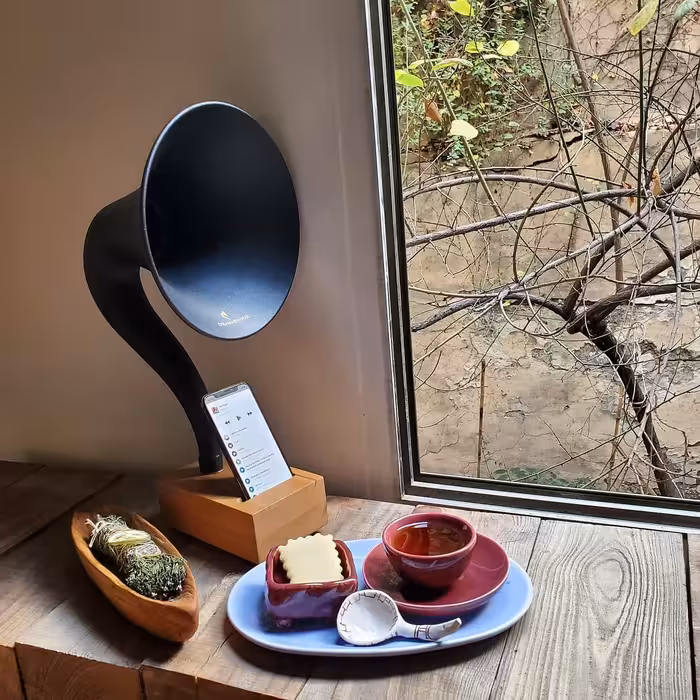 درامافون گرامافون بدون نیاز به برق بدون نیاز به شارژ  بدون نیاز به بلوتوث 