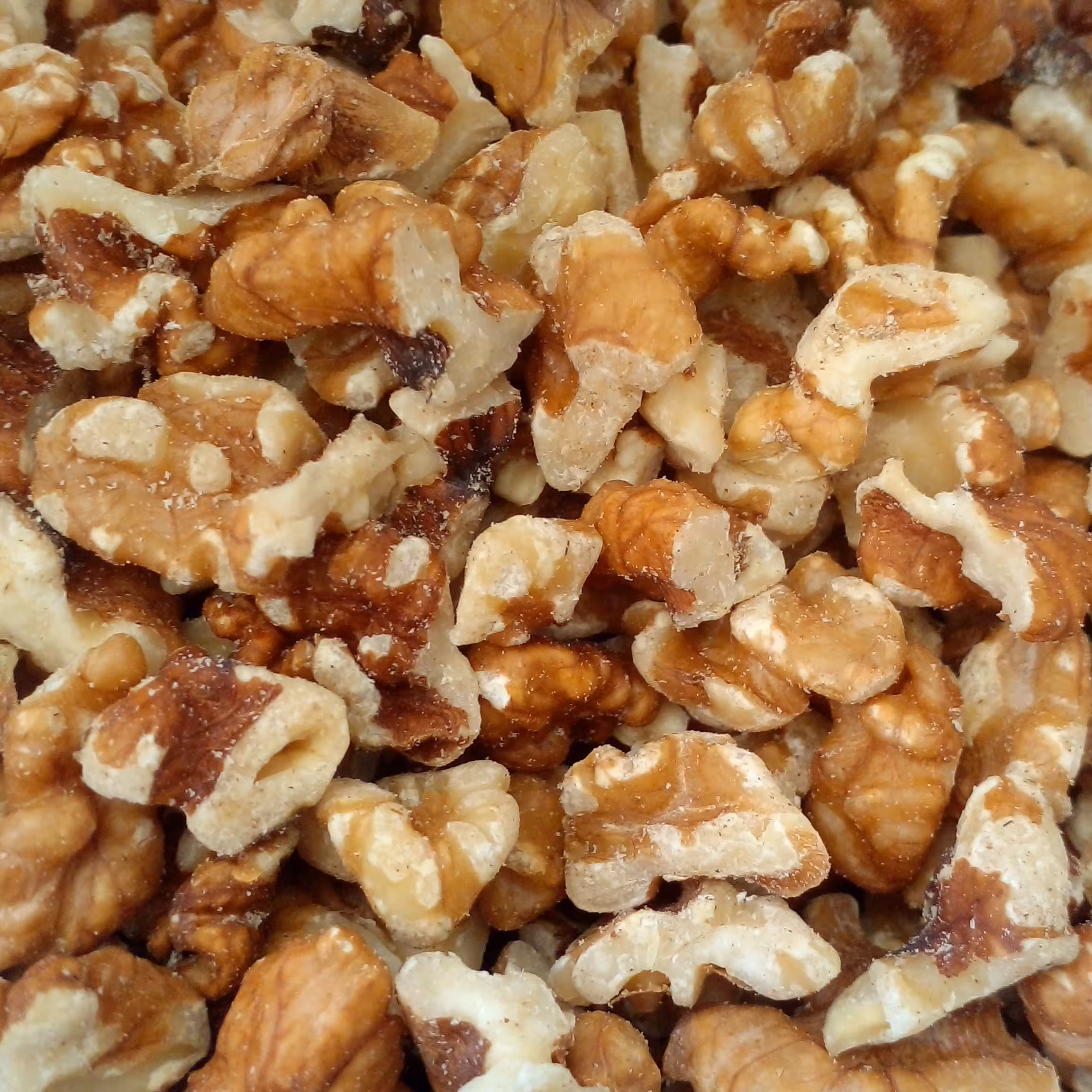 مغز گردوی دندانه  مخصوص شیرینی فروشی ها پخت وپز  بستنی فروشی ها با ارسال رایگان در بسته های 5 کیلویی