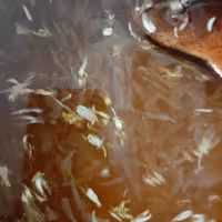 مربای بهار (500گرمی)