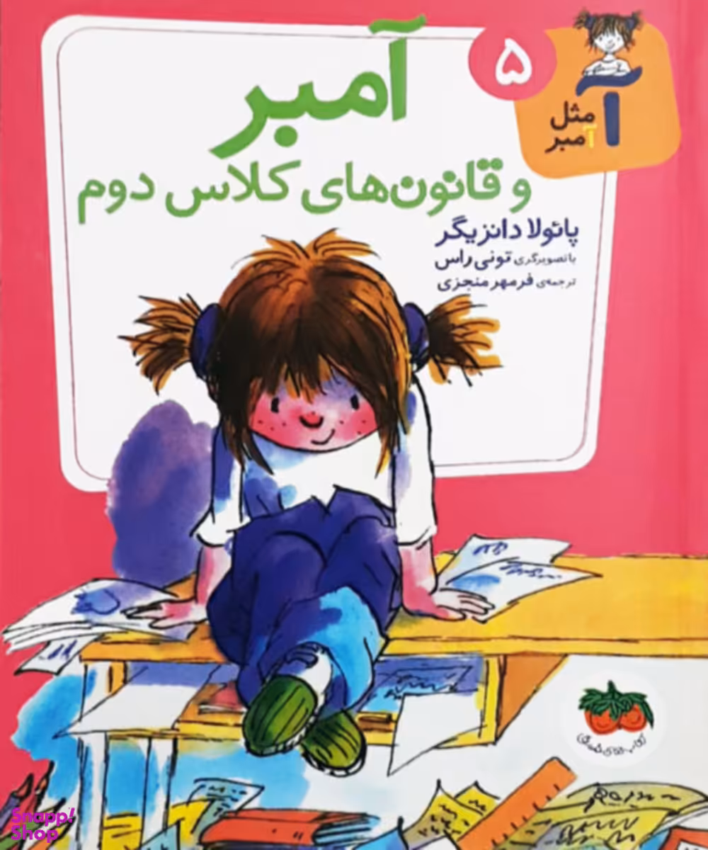 کتاب آمبر و قانون های کلاس دوم اثر پایولا دانزیگر نشر افق