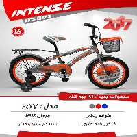دوچرخه بچگانه اینتنس 16 257 2017