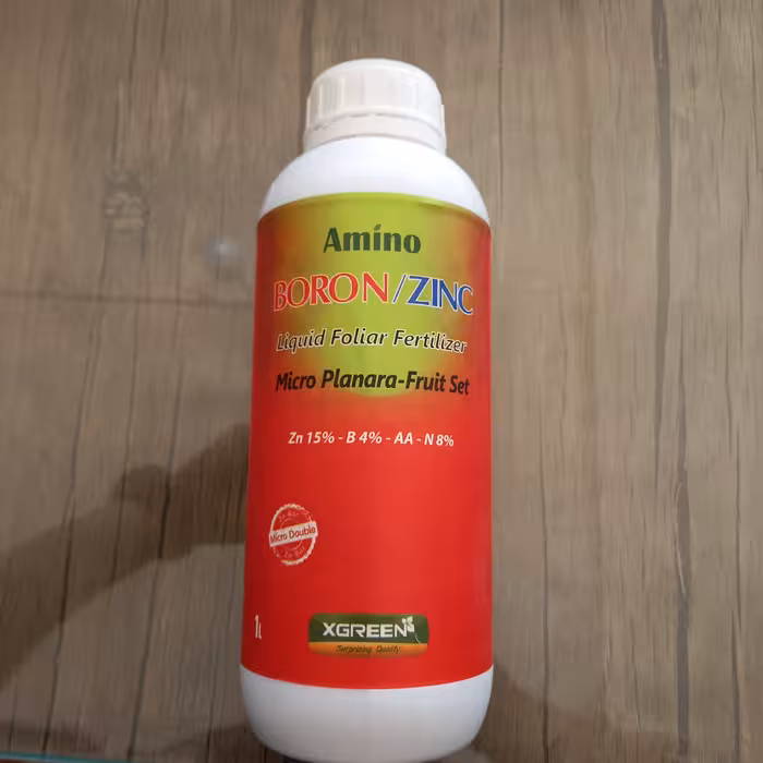 فروت ست امریکایی ایکس گرین 1 لیتری