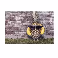 تابلو شاسی جوان مدل آناناس با پرستیژ