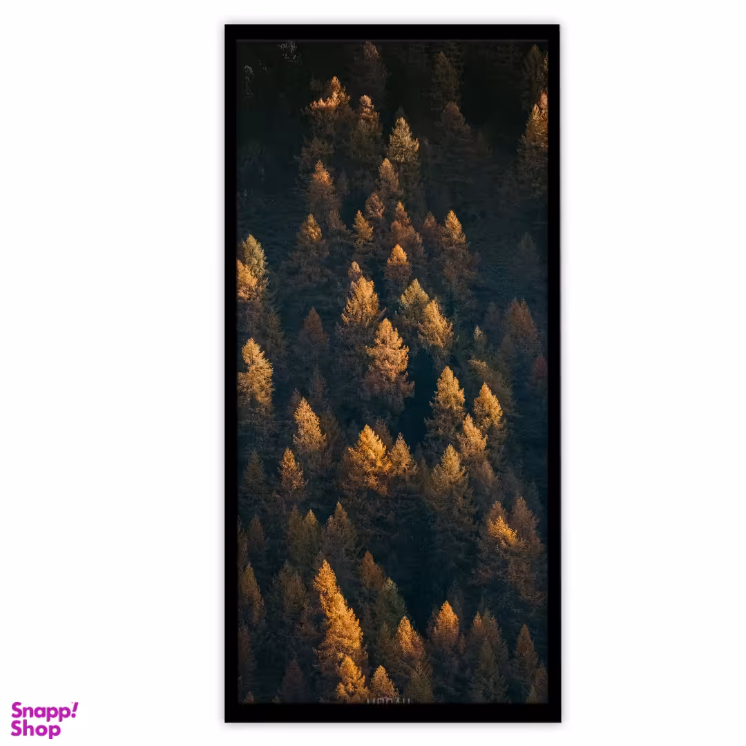 تابلو بکلیت طرح جنگل سوزنی مدل B-S3649