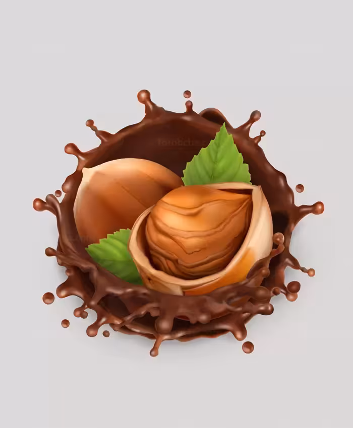 وکتور فندق و شکلات فندقی پاشیده شده - گرافیک با طعم تربچه