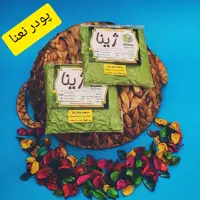 پودر نعنا نعناع خشک ژینا درجه یک و اعلا 250 گرمی از کویر خراسان