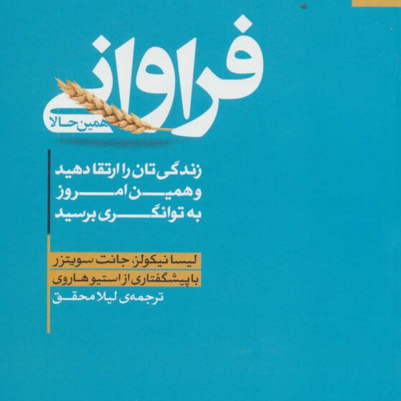 کتاب فراوانی همین حالا