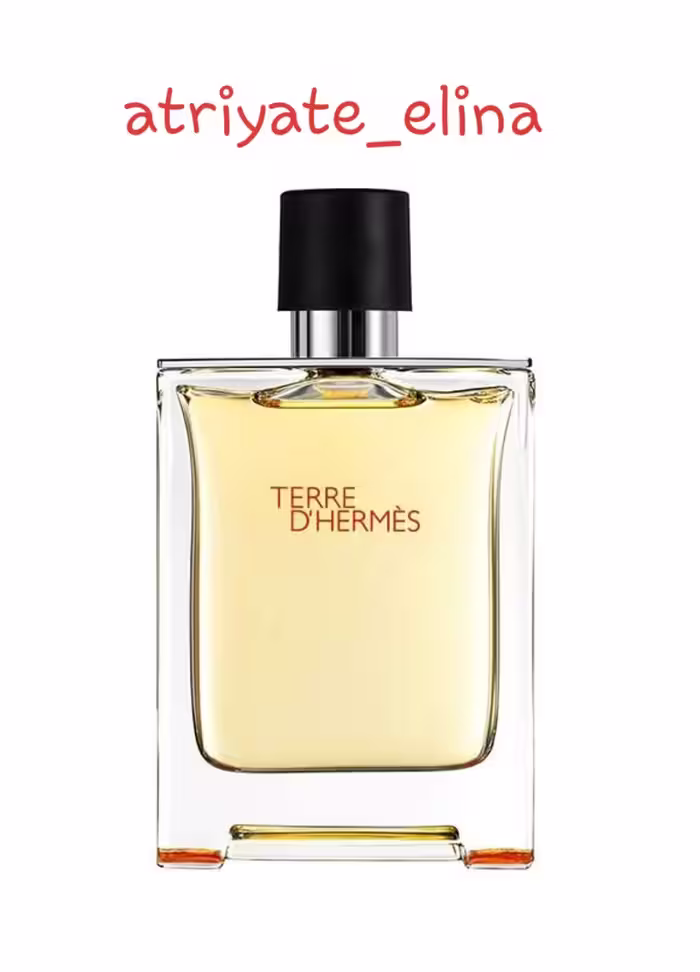 عطر ادکلن هرمس تق هرمس-Hermes Terre d’Hermes 100 ml