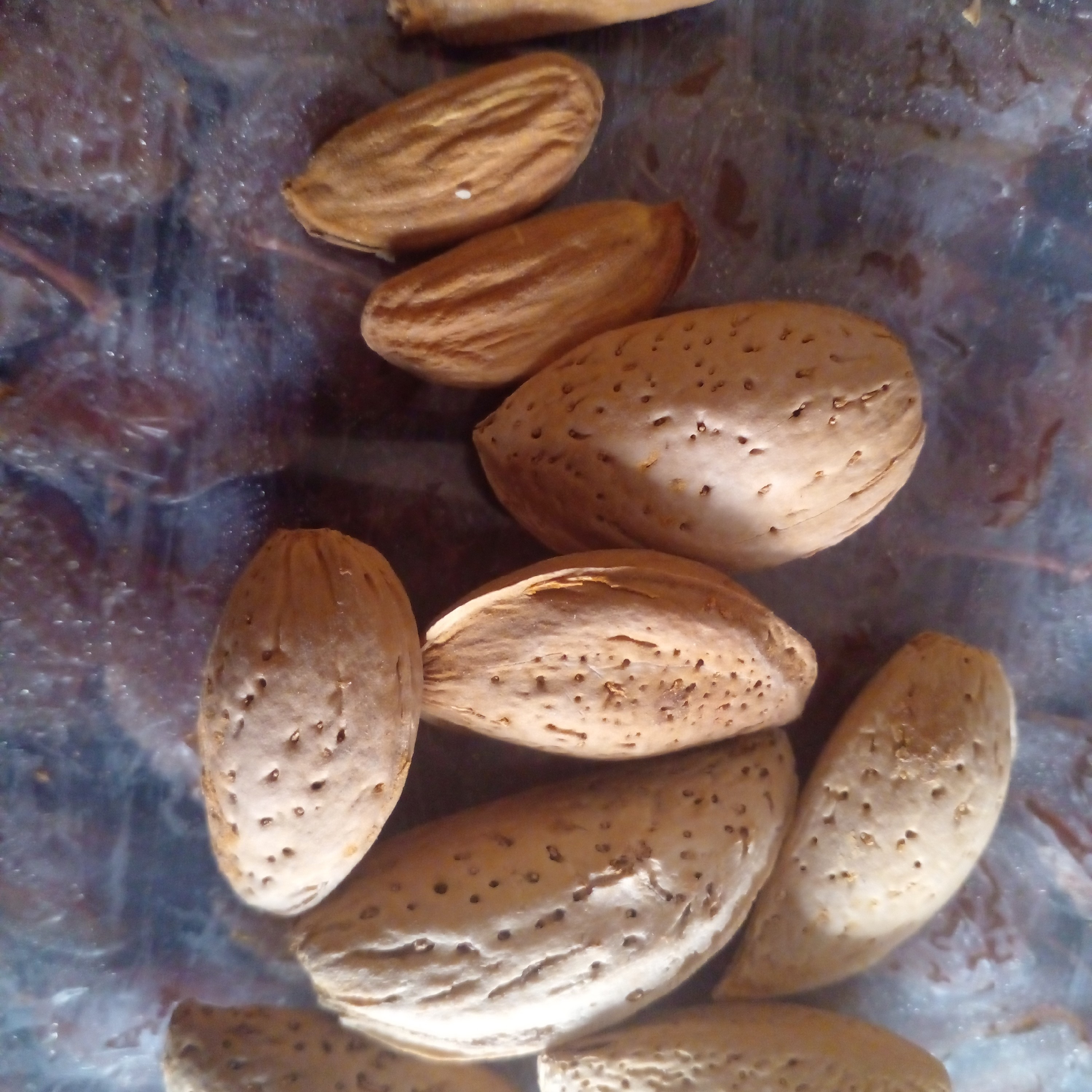 بادام درختی درجه یک دست پوست فوق اعلا