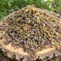 کشمش سبز سایه خشک محلی و ارگانیک ممتاز