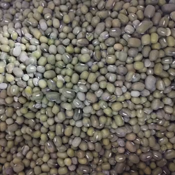 ماش یک کیلویی