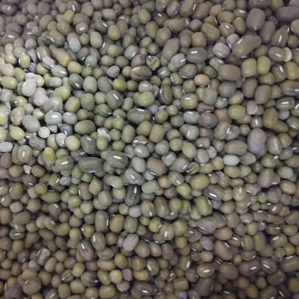 ماش یک کیلویی