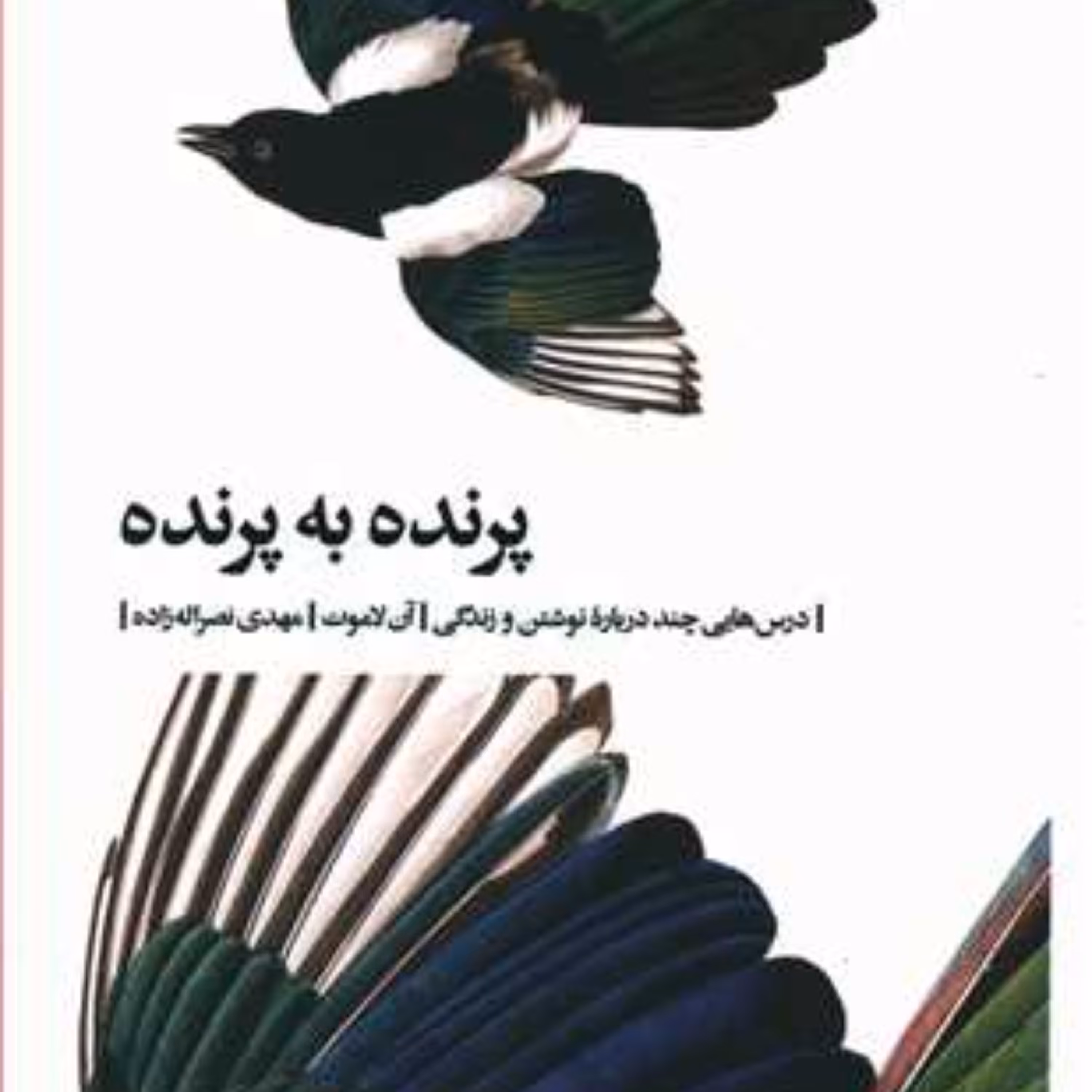 پرنده به پرنده اثر 	آن لاموت