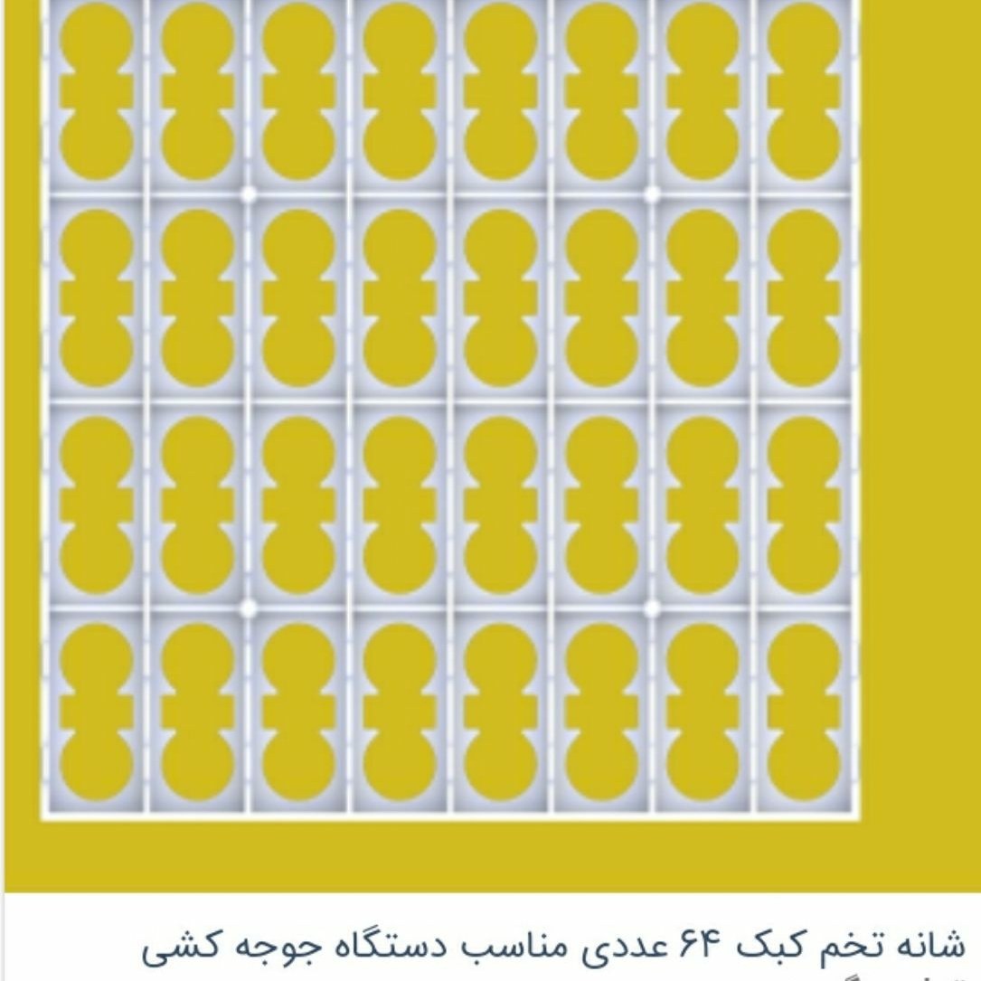 شانه دستگاه جوجه کشی تخم کبک و قرقاول