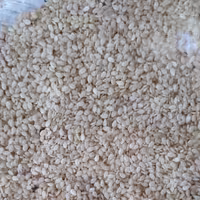 کنجد سفید، نیم کیلویی، رنگ سفید، شیرین، بوداده ( اصطلاحا کنجد ارده ای)