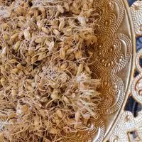 جوانه گندم 500 گرمی