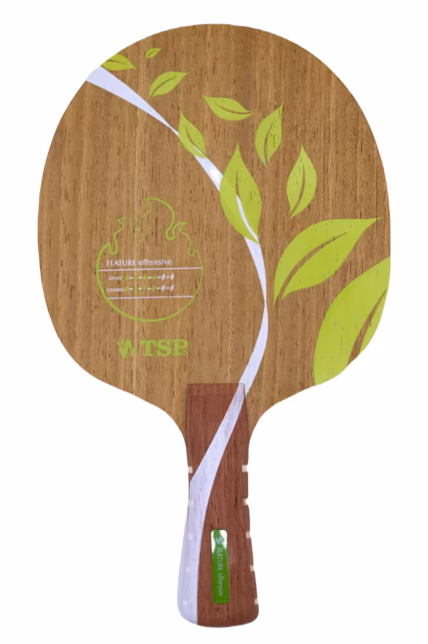 فلاچر آفنسیو TSP