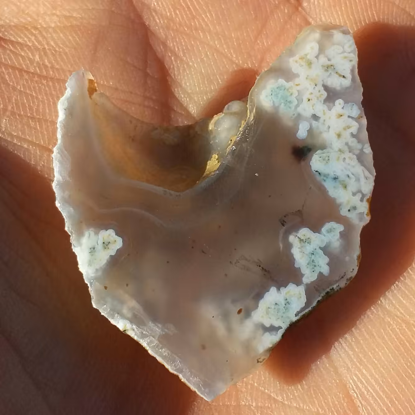 اسلایس سنگ راف حبه شده شجر شکوفه 7رنگ محششر صد در 100 طبیعی شاااهکار خلقت
تابلو نقاشی طبیعی
