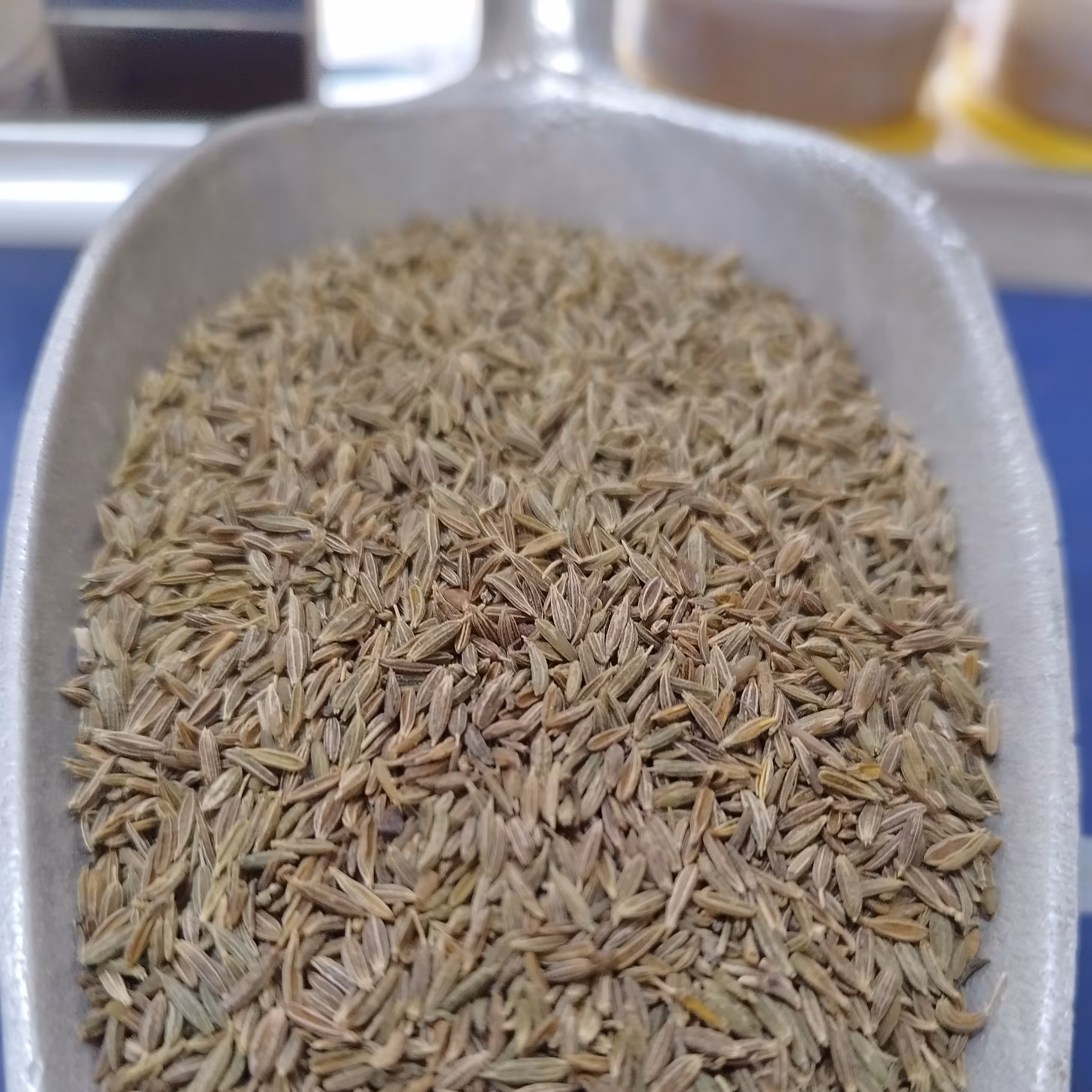 زیره سبز (ممتاز)