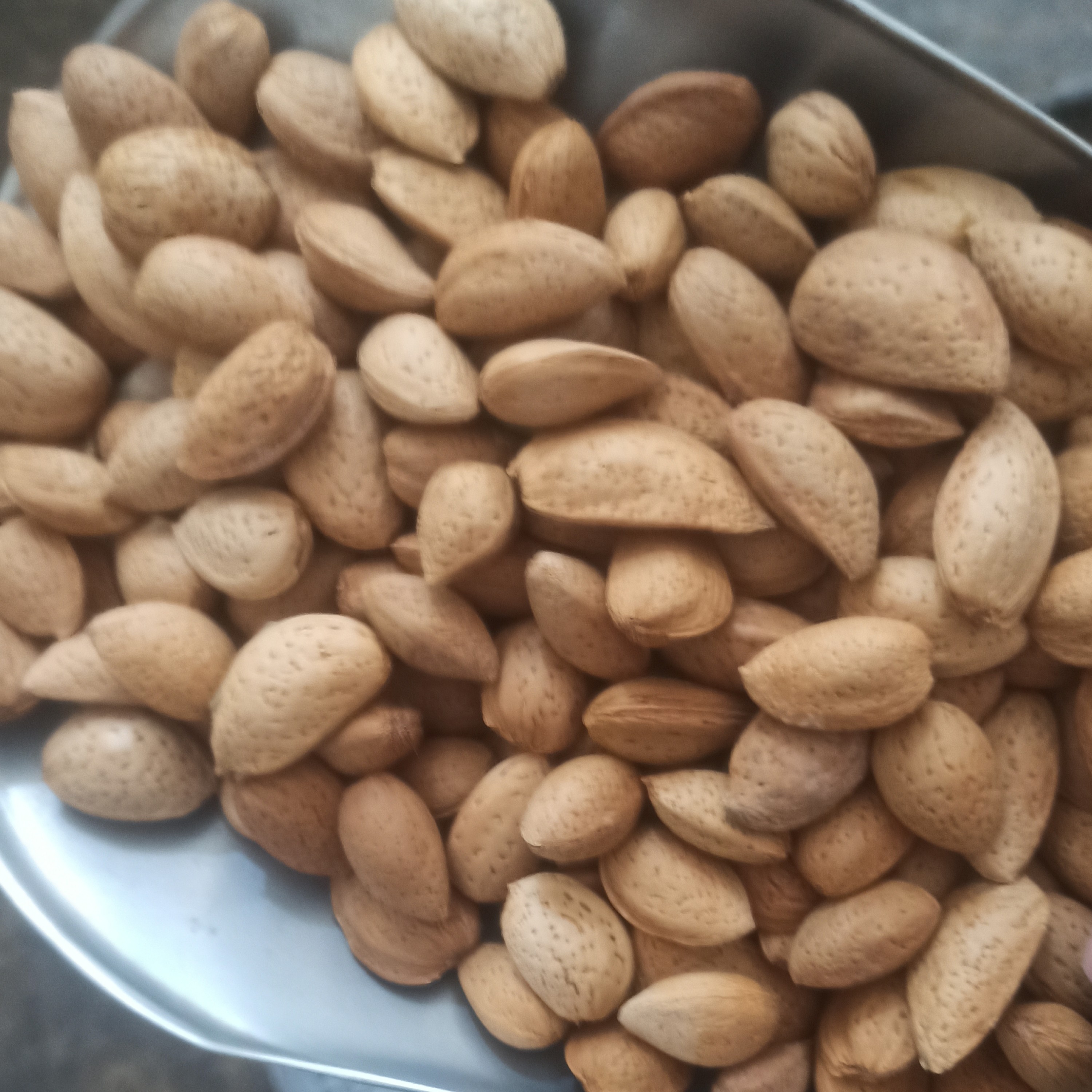 بادام مغز شیرین و درشت به مناسبت اغاز محرم با کمترین قیمت در باسلام تایم تخفیف کوتاه است فقط کیلویی 95000تومان