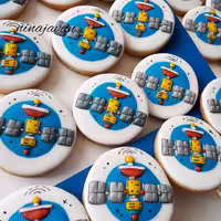 کوکی  فضایی