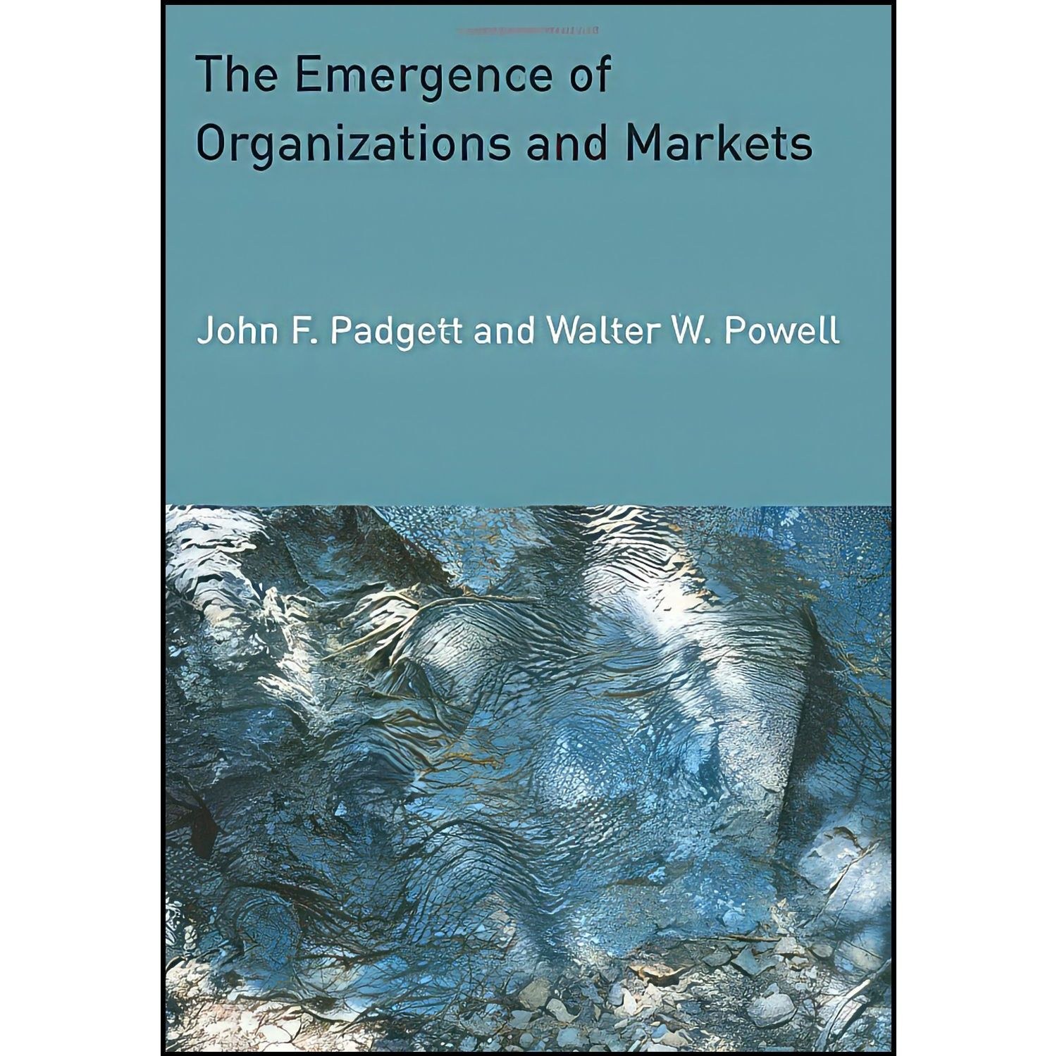 کتاب زبان اصلی The Emergence of Organizations and Markets اثر جمعی از نویسندگان