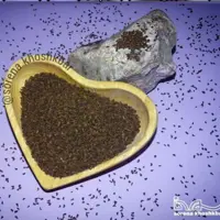 اسپند خشکبار سورنا به صورت دان درجه یک بسته بندی 200 گرمی