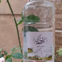 گلاب ناب روستای آزران کاشان دو آتیشه اعلاء  و خوش بو