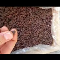 مویز قرمز درشت