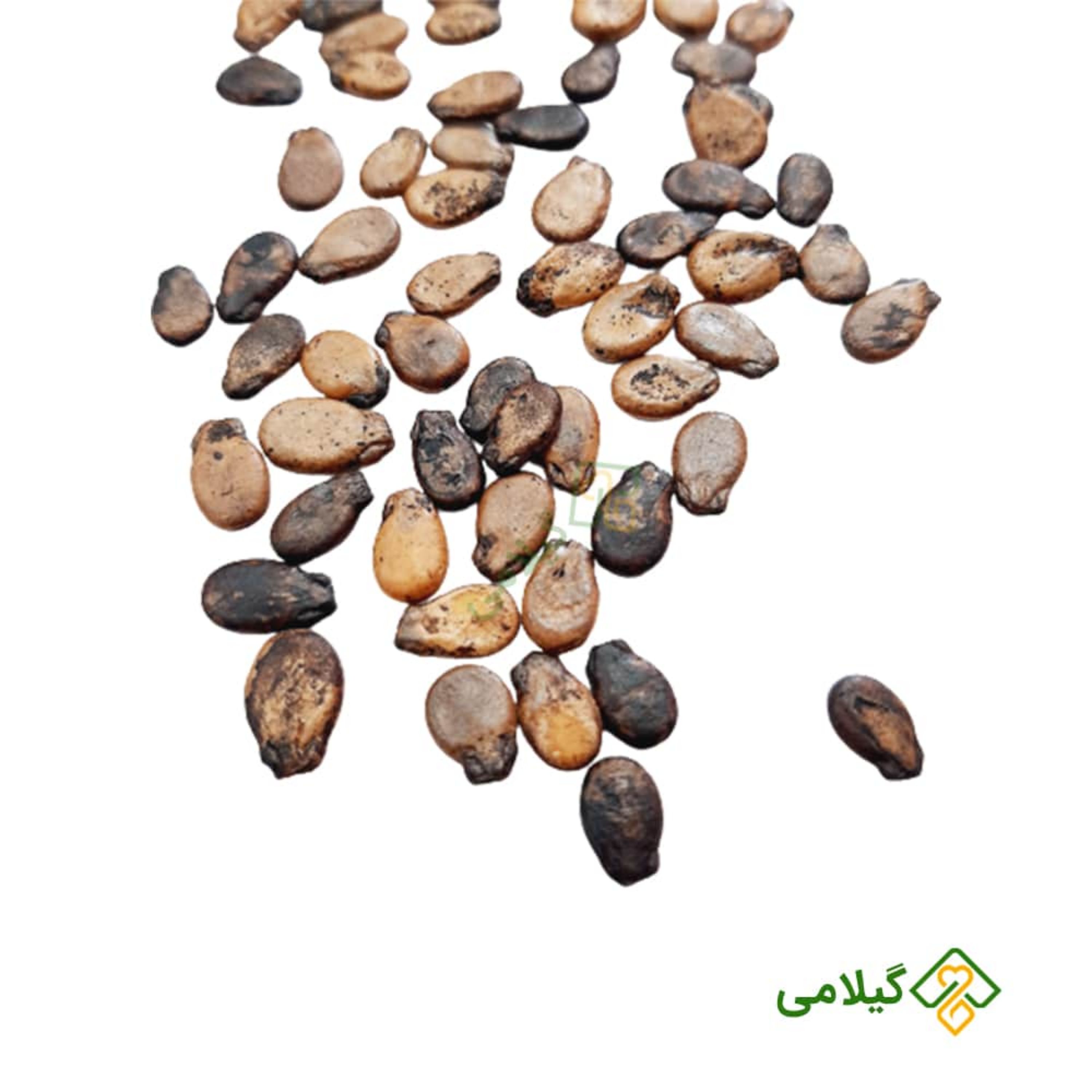 بذر هنداونه آناناسی یا زرد گیلامی ( 20 عددی )