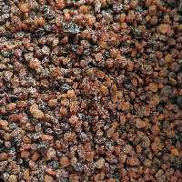 کشمش اعلا بدون روغن(1000گرمی)