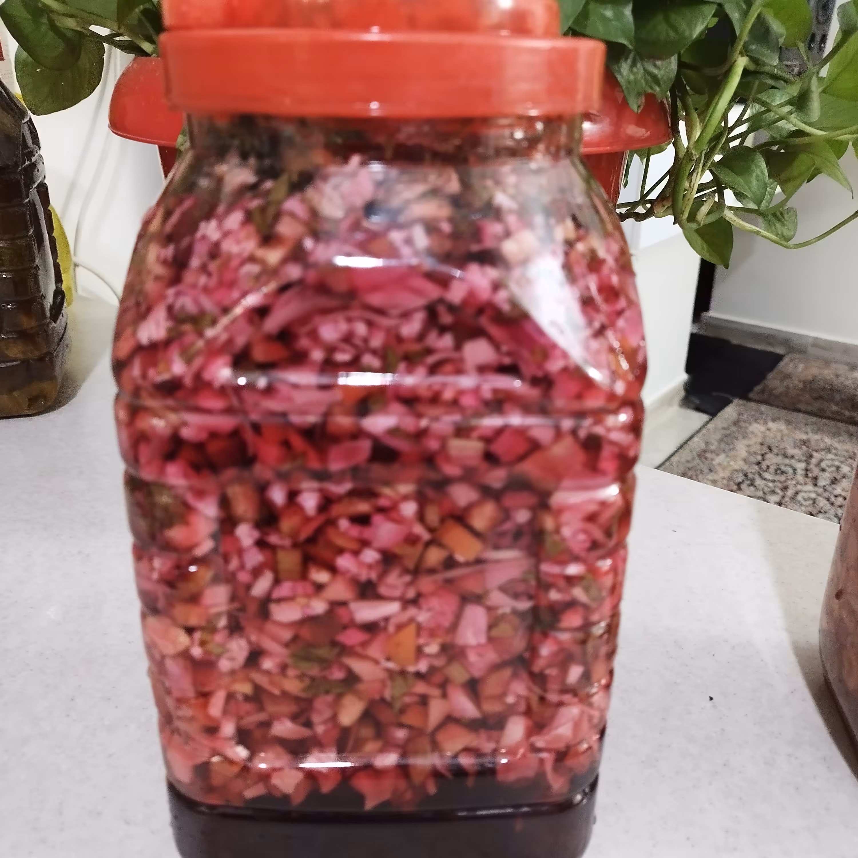 ترشی  لیته  کیلویی 45000تومان