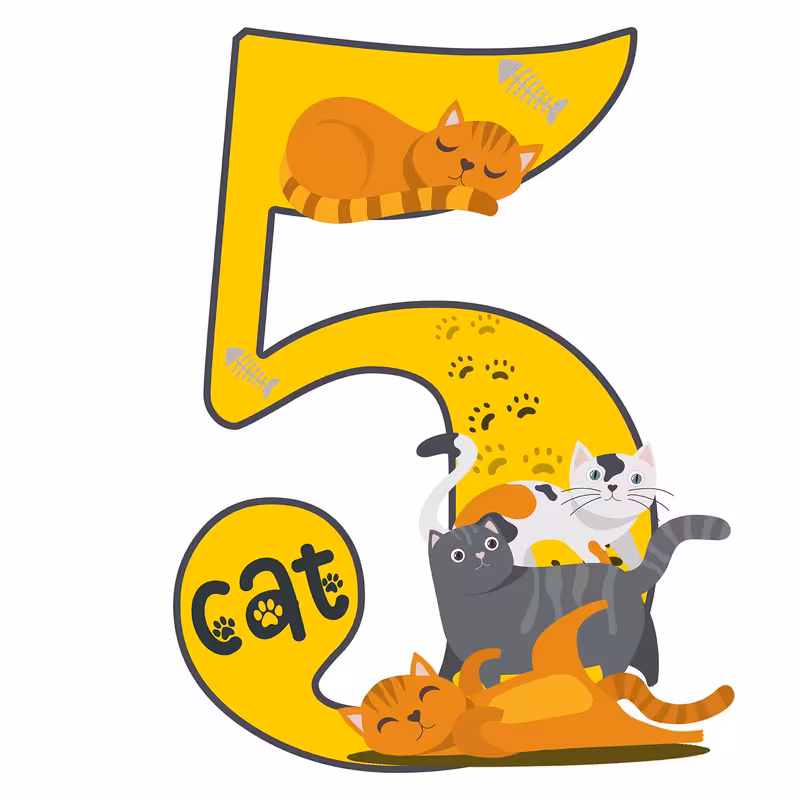 استند رومیزی تولد مدل عدد 5 طرح گربه کد 1478