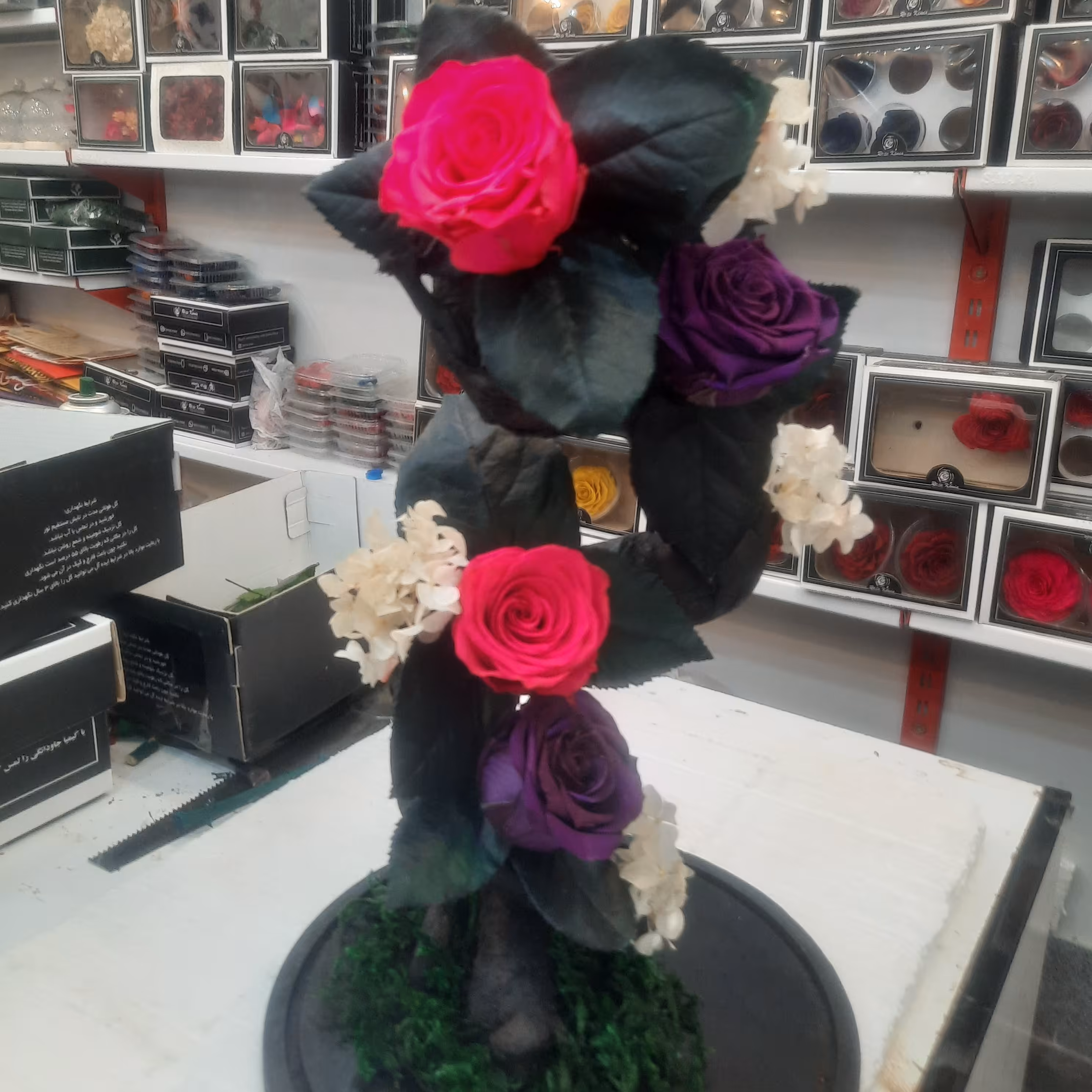 درختچه مدل اس جاودان 