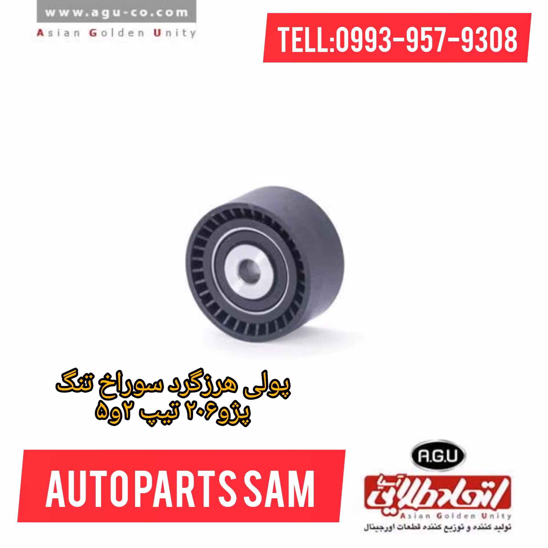 پولی هرزگرد ( سوراخ کوچک ) پژو 206 پریمیوم اتحاد طلایی آسیا AGU