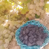 مویز قرمزتازه  هسته دار  دیم (امساله)