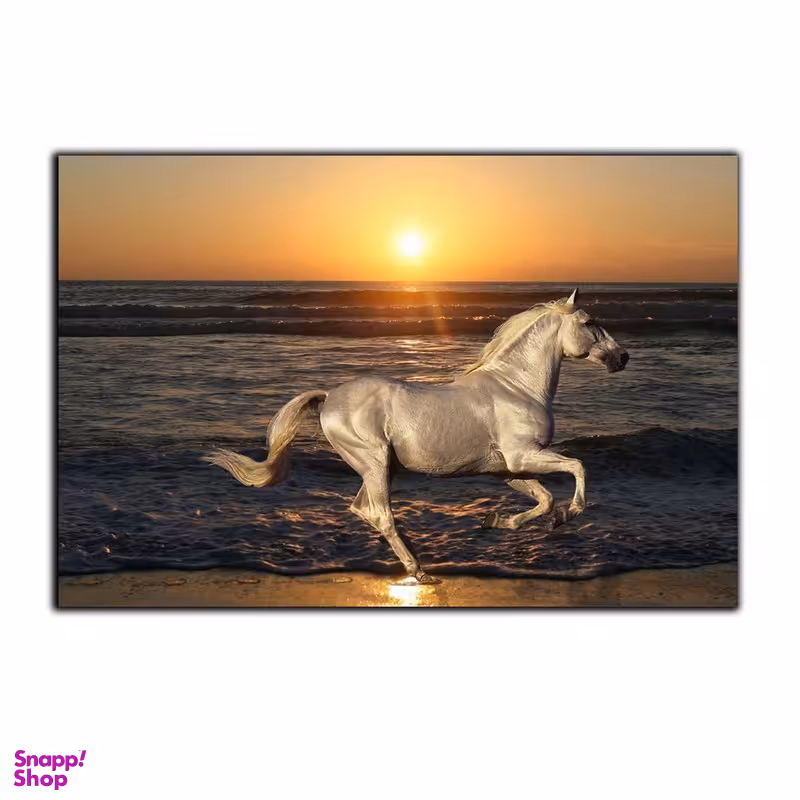 تابلو شاسی بکلیت طرح دریا و اسب مدل SH-7556