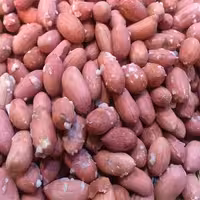 بادام زمینی ویژه امساله( درشت )از خود آستانه یک کیلویی