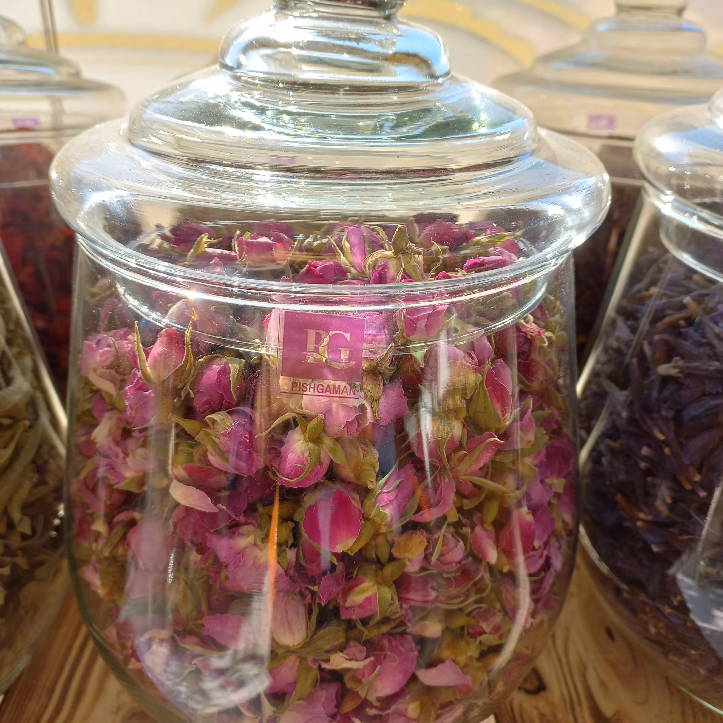 غنچه گل محمدی