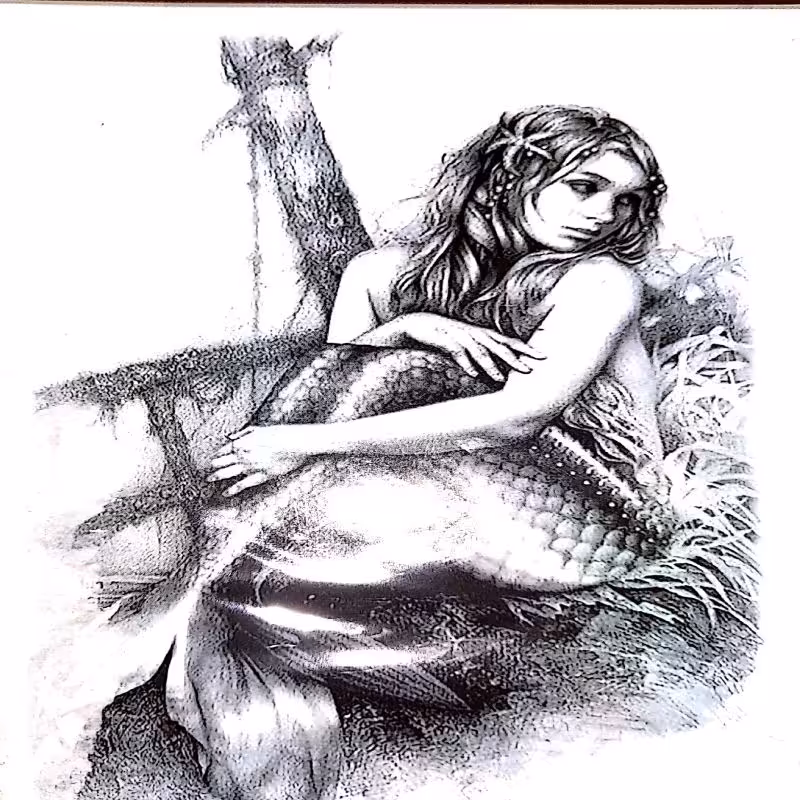 برچسب تتو موقت بدن 6