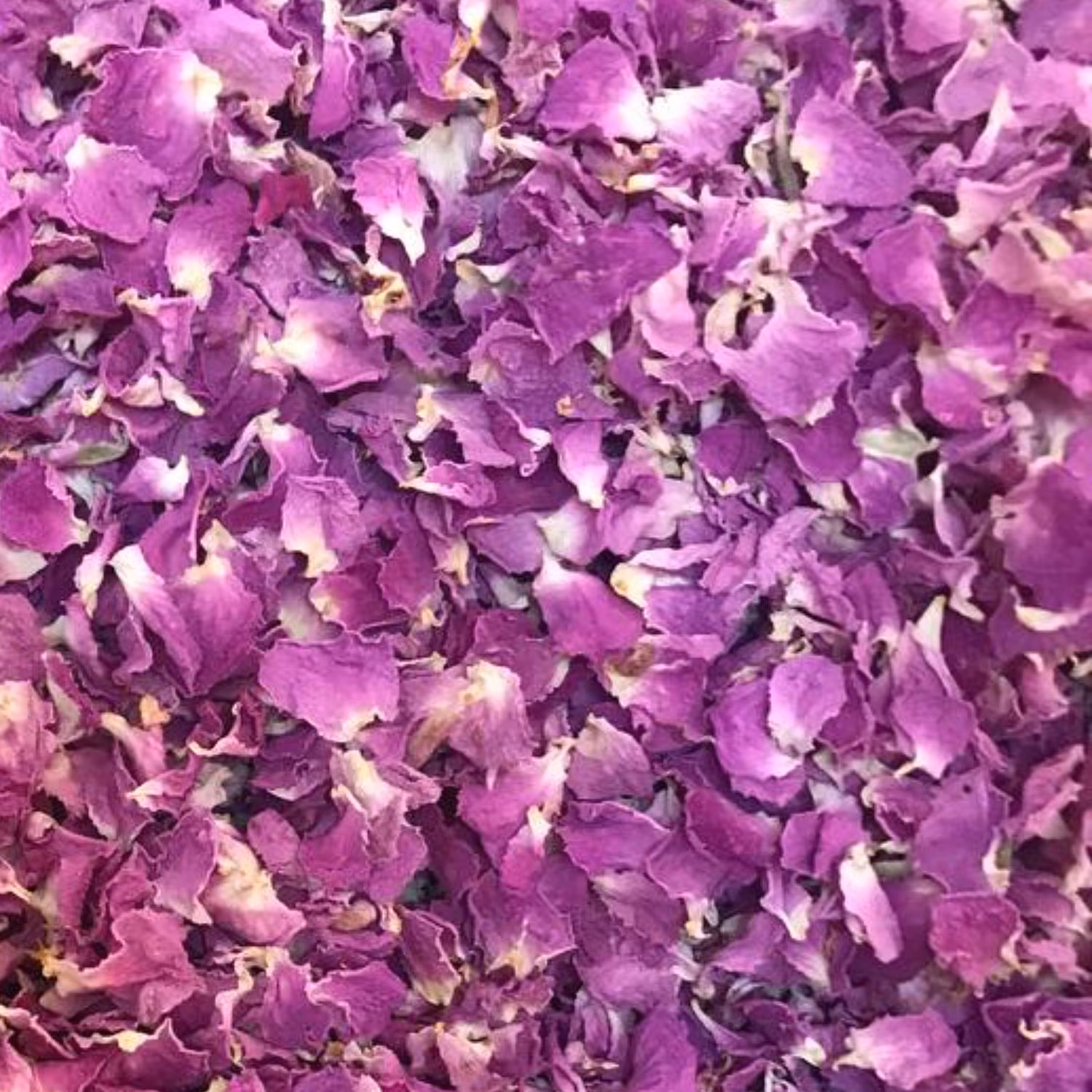 گلبرگ گل محمدی (یک کیلویی) محصول اردیبهشت 1402