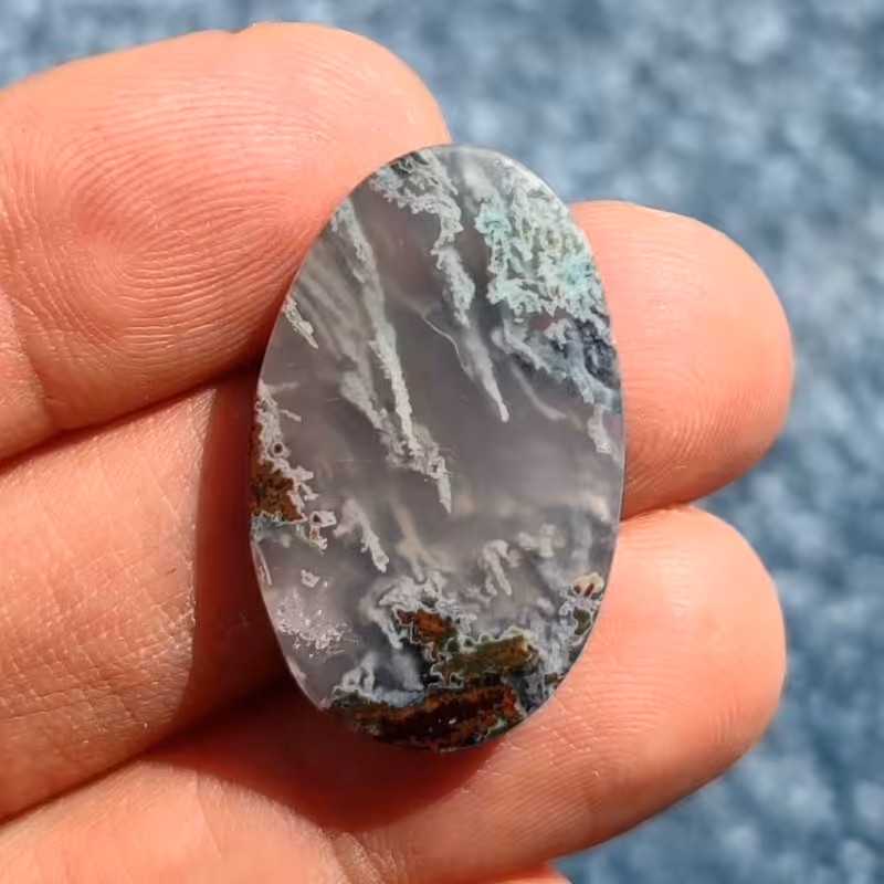 نگین عقیق شجر منظره جنگلی 2